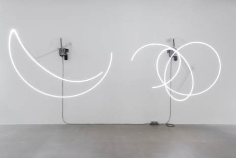 Olafur Eliasson, Your unpredictable sameness, 2014, Marian Goodman Gallery