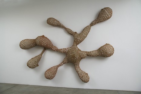 Ernesto Neto, Sorry, I Don’t Know Exacly Where to Go, 2012, Tanya Bonakdar Gallery
