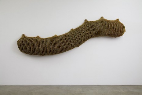 Ernesto Neto, Grub Measure, 2012, Tanya Bonakdar Gallery