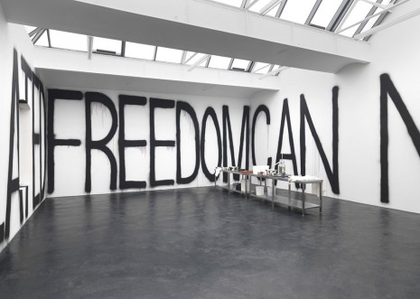 Rirkrit Tiravanija, untitled, 2012 (freedom can not be simulated), 2012, neugerriemschneider