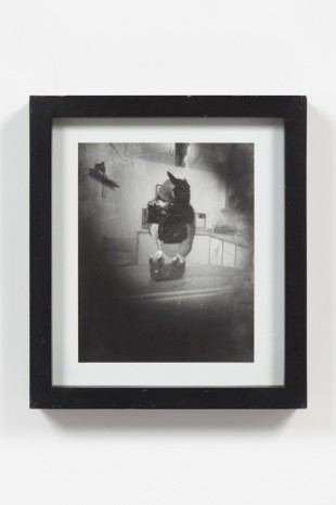 Jorge Pardo, Untitled (Pinhole Camera Owl Photograph), 1988 , Petzel Gallery