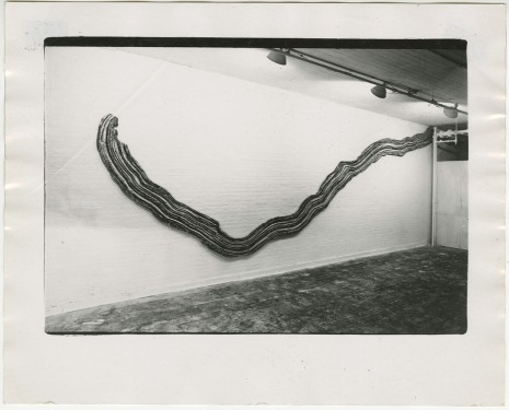 Rosemarie Castoro, Armpit Hair, 1972 , Galerie Thaddaeus Ropac