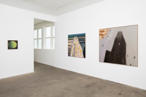 Exhibition : Anna Bjerger Galleri Bo Bjerggaard | Daily Art Fair