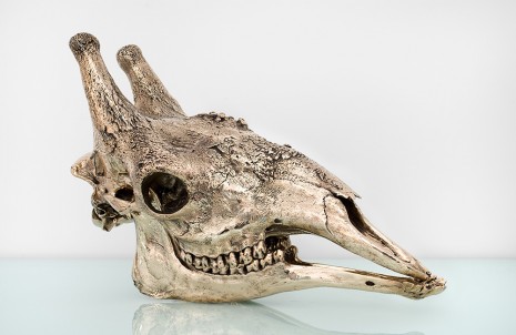 Sherrie Levine, Giraffe Skull, 2012, Paula Cooper Gallery
