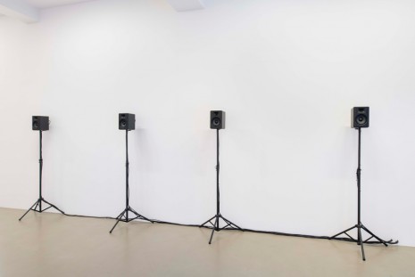 Hassan Khan, Live Ammunition!, 2015, Galerie Chantal Crousel