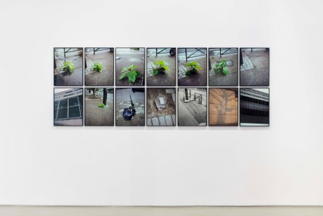 Jean-Luc Moulène, La Vigie (extrait 9) - Paris 2004-2011, 2012, Galerie Chantal Crousel