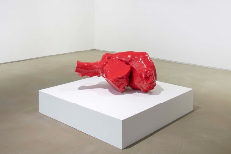 Jean-Luc Moulène, Stomac - San Rafael-Tlaquepaque, 2018, Galerie Chantal Crousel