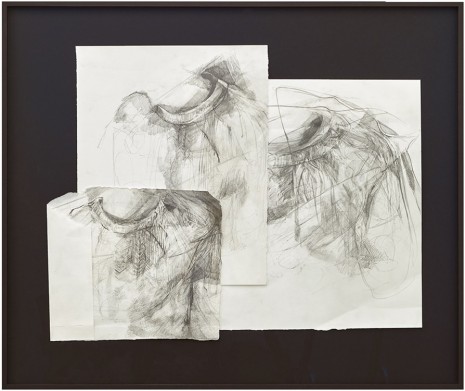 Danica Barboza, Subject M., Interposition: November study, Patrick Kcram series C, 2018-2019 , Galerie Buchholz