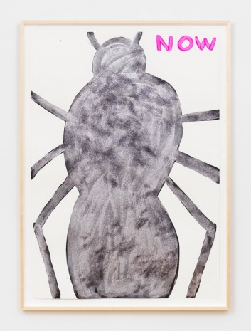 David Shrigley, Untitled (Now Bug), 2019 , Anton Kern Gallery