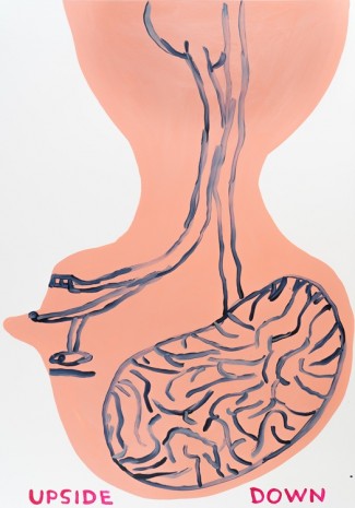David Shrigley, Untitled (Upside Down), 2019 , Anton Kern Gallery