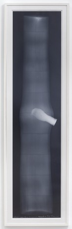 Giuseppe Penone, Continuerà a crescere tranne che in quel punto - Radiografia, 2012, Marian Goodman Gallery