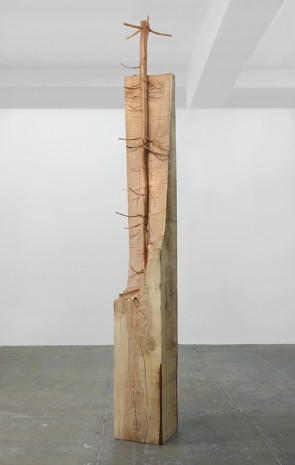 Giuseppe Penone, Nel Legno, 2008, Marian Goodman Gallery