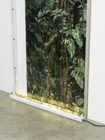Virginia Overton, Untitled (Welcome to the Jungle), 2019 , Bortolami Gallery