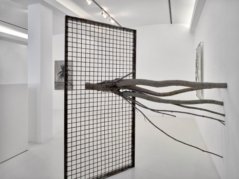 Taiyo Onorato + Nico Krebs, Verwachsung 2 (Naumburger), 2010-2018 , Sies + Höke Galerie