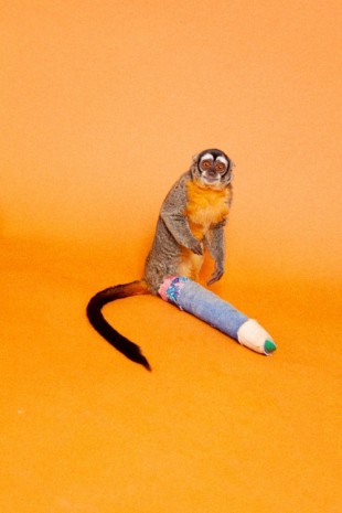 Ryan McGinley, Howling Monkey (Broken Leg), 2012, team (gallery, inc.)