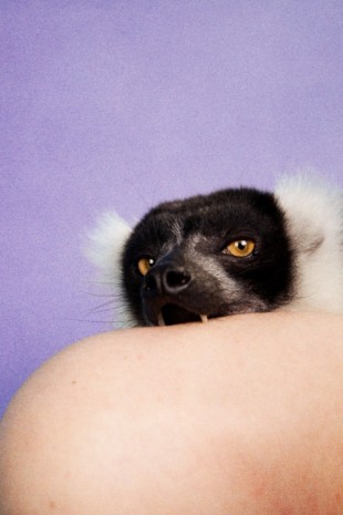Ryan McGinley, Lemur (Lilac), 2012, team (gallery, inc.)