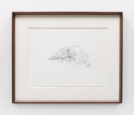 Stephen McKenna, Lying Dog, 1984, Kerlin Gallery