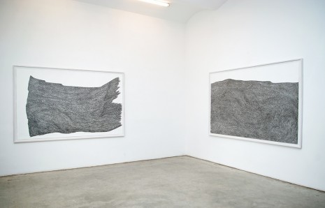 Barbara Eichhorn, Untitled (from the series Vogelflug), 2011/2012, Christine Koenig Galerie