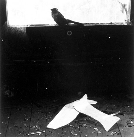 Ralph Eugene Meatyard, Untitled - Bird on Window Ledge, 1966 , Howard Greenberg Gallery