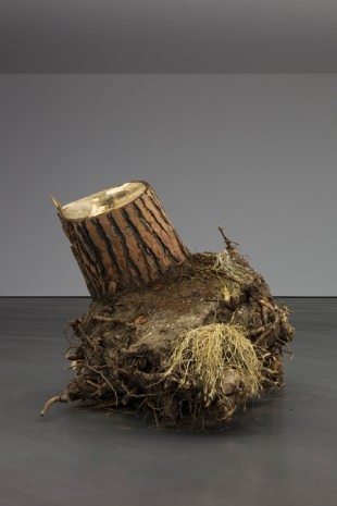 Christoph Keller, Ceppo Sradicato (uprooted tree), 2018, Esther Schipper