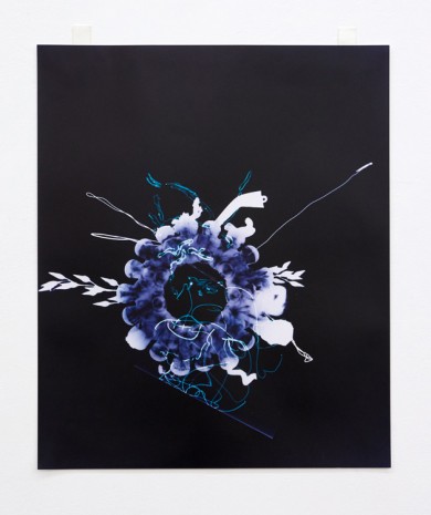 Hannah Buonaguro, blue glass vase photogram, 2019 , VNH Gallery