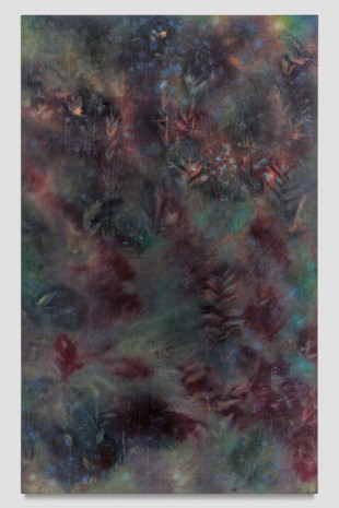 Sam Falls, Untitled (Ozark National Forest, 1), 2018 , 303 Gallery