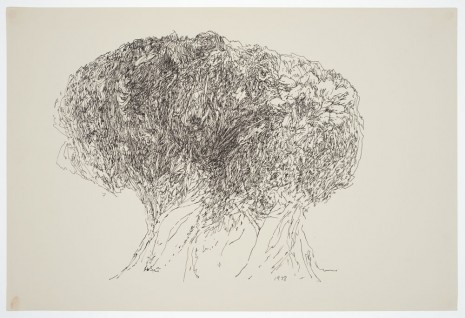 Margaret Raspé, Automatic Drawing 11, 1978, Amanda Wilkinson