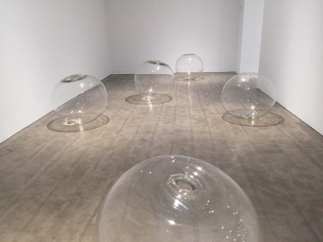 Meg Webster, Largest Blown Sphere, 1987 , Paula Cooper Gallery