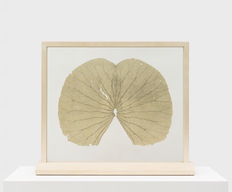 Gabriel Orozco, Lotus Leaves (Full Leaf), 2004 , Praz-Delavallade