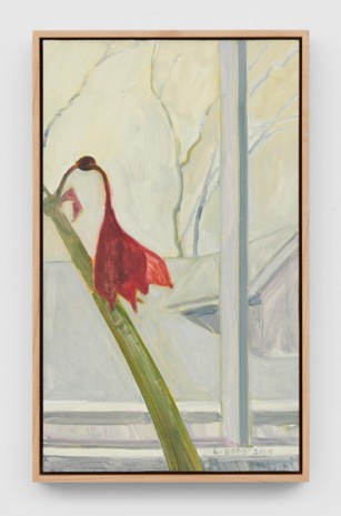 Lois Dodd, Fading Amaryllis, 2014, Modern Art