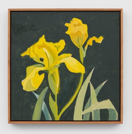 Lois Dodd, Yellow Iris, 2006, Modern Art