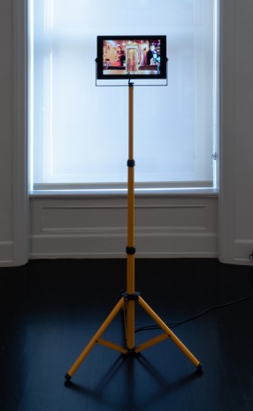 Tromarama, Living Apparatus I, 2019, Petzel Gallery