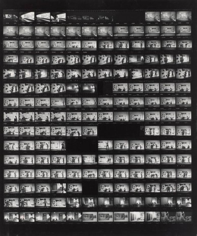 Ugo Mulas, Jasper Johns, 1967 , Matthew Marks Gallery