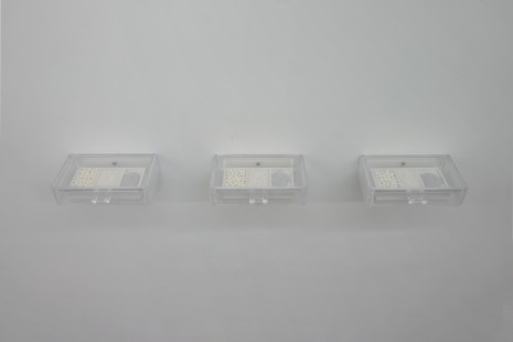 Ivan Moudov, Plexiglass box, homeopathic pills and painting powder, , Galerie Alberta Pane