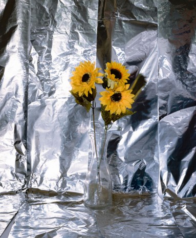 Clegg & Guttmann, Plastic Sun Flowers, 2019 , Lia Rumma Gallery