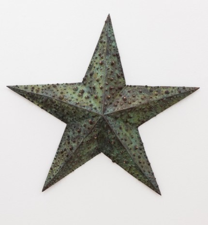 Dagoberto Rodriguez, No Estrella Oreaster (No Star Oreaster), 2019 , Galerie Peter Kilchmann