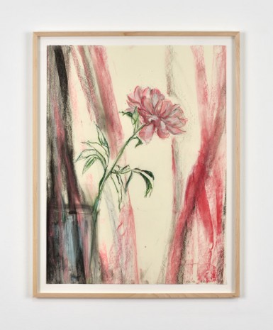 Sabine Moritz, Peony with pink stripes II, 2019 , Marian Goodman Gallery