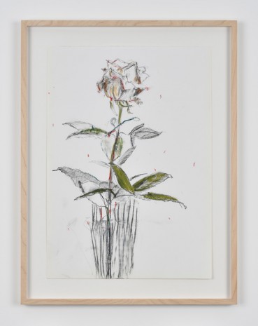 Sabine Moritz, Rose 51, 2019 , Marian Goodman Gallery
