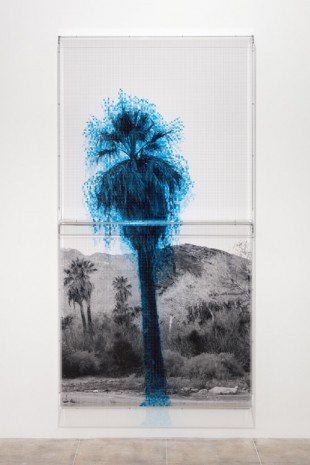 Charles Gaines, Numbers and Trees: Palm Canyon, Palm Trees Series 2, Tree #1, Cahuilla, 2019, Hauser & Wirth