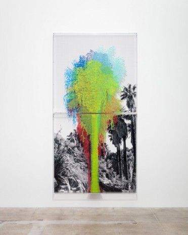 Charles Gaines, Numbers and Trees: Palm Canyon, Palm Trees Series 2, Tree #7, Mission, 2019 , Hauser & Wirth