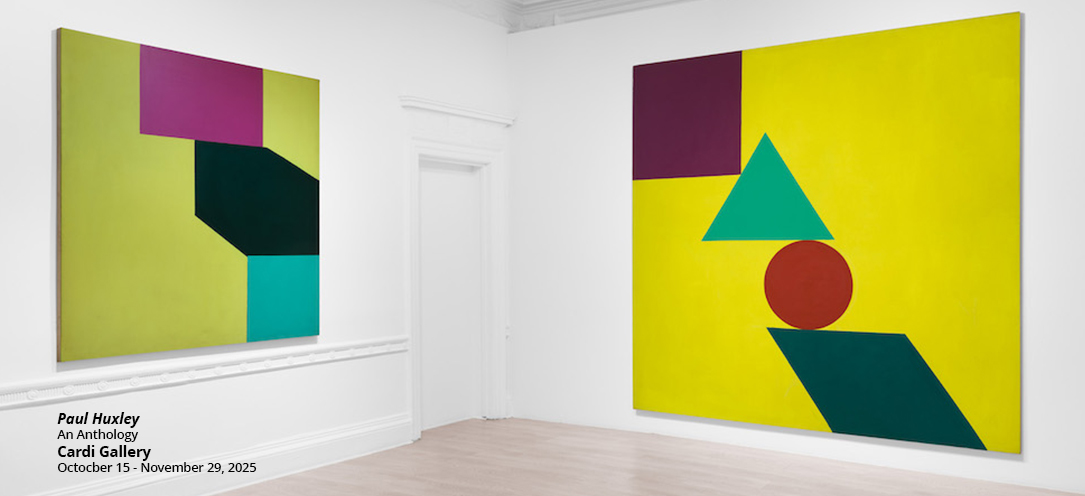 paul-huxley-cardi-gallery-london