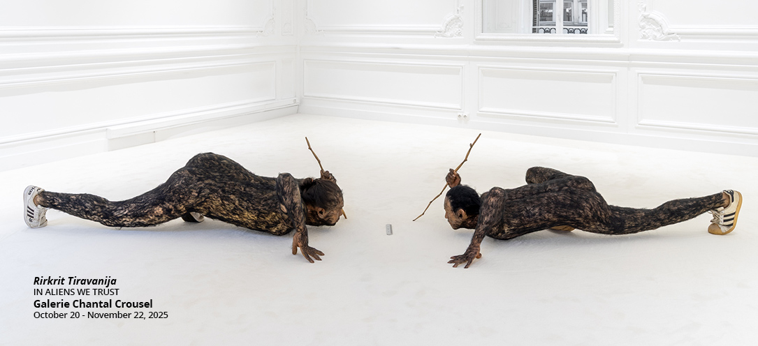 rirkrit-tiravanija-galerie-chantal-crousel-paris