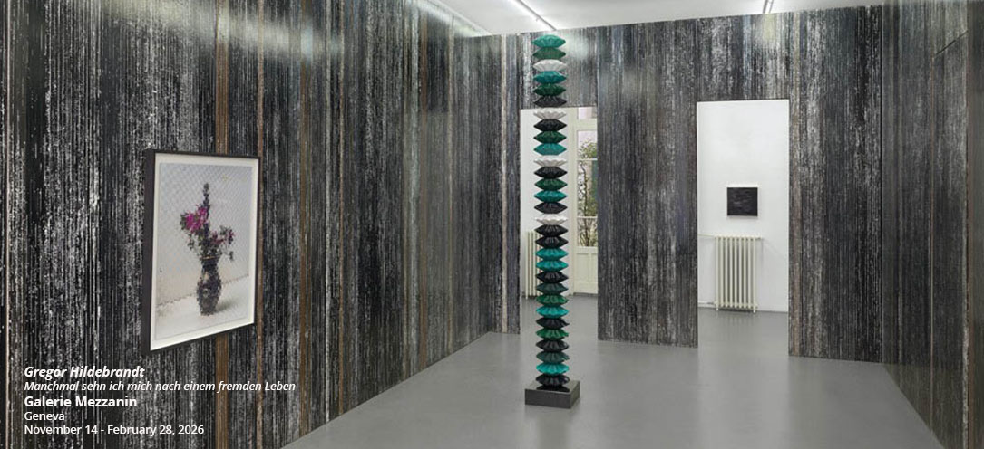 gregor-hildebrandt-galerie-mezzanin-geneva