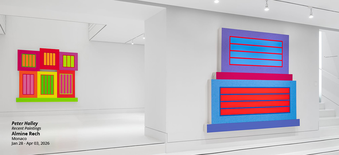 peter-halley-almine-rech-monaco