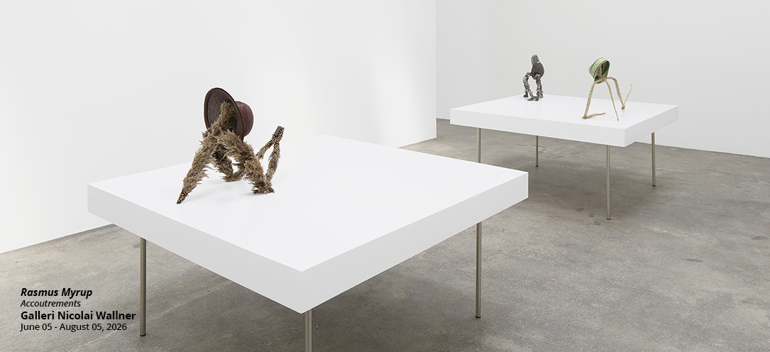 rasmus-myrup-galleri-nicolai-wallner-copenhagen