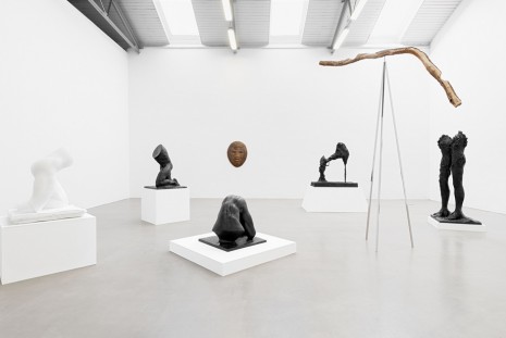 Stella Hamberg, Jubiläum, Galerie EIGEN + ART