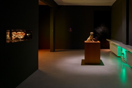 Ajay Kurian, Possessions, Sies + Höke Galerie
