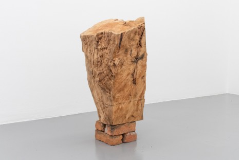 Jacobo Castellano, , Mai 36 Galerie