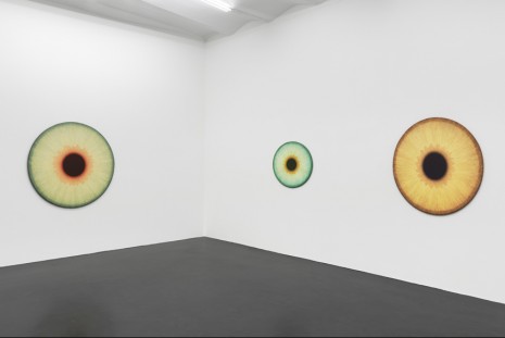 Ulla Wiggen, Visualities, Galerie Buchholz