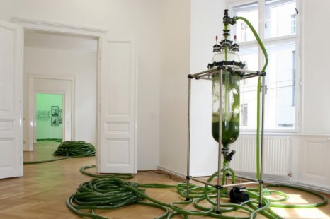 Thomas Feuerstein, Greenhouse and it's harvest, Galerie Elisabeth & Klaus Thoman